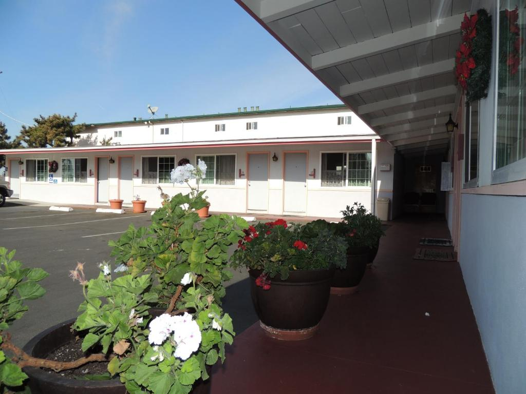 Sundown Inn courtyard gardens