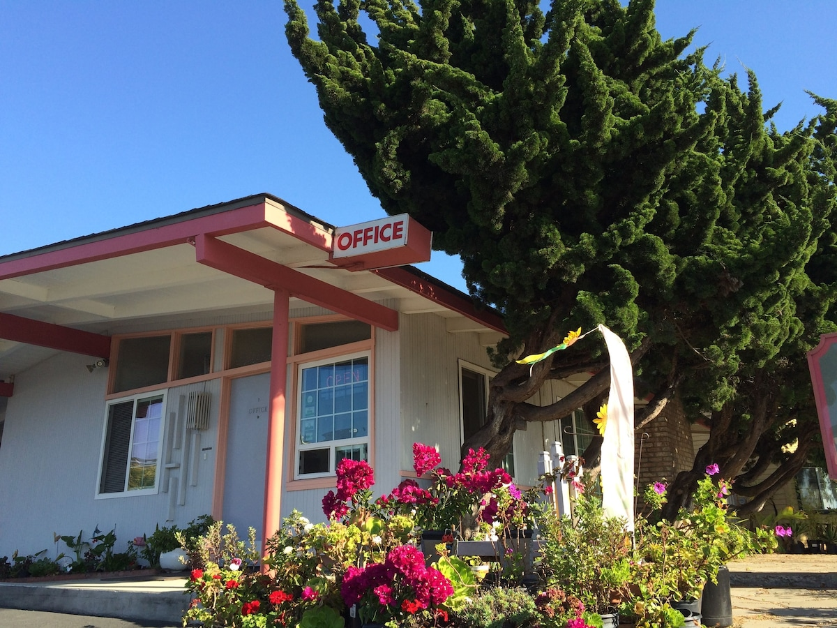 Sundown Inn office and gardens